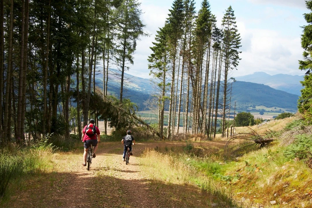 Magasin De Vélos Orbea -Magasin De Vélos Orbea 162