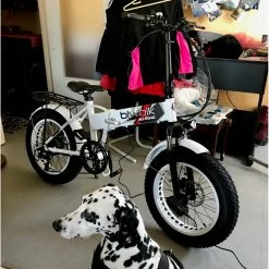 VTT électriques Autre Marque - L - 20"