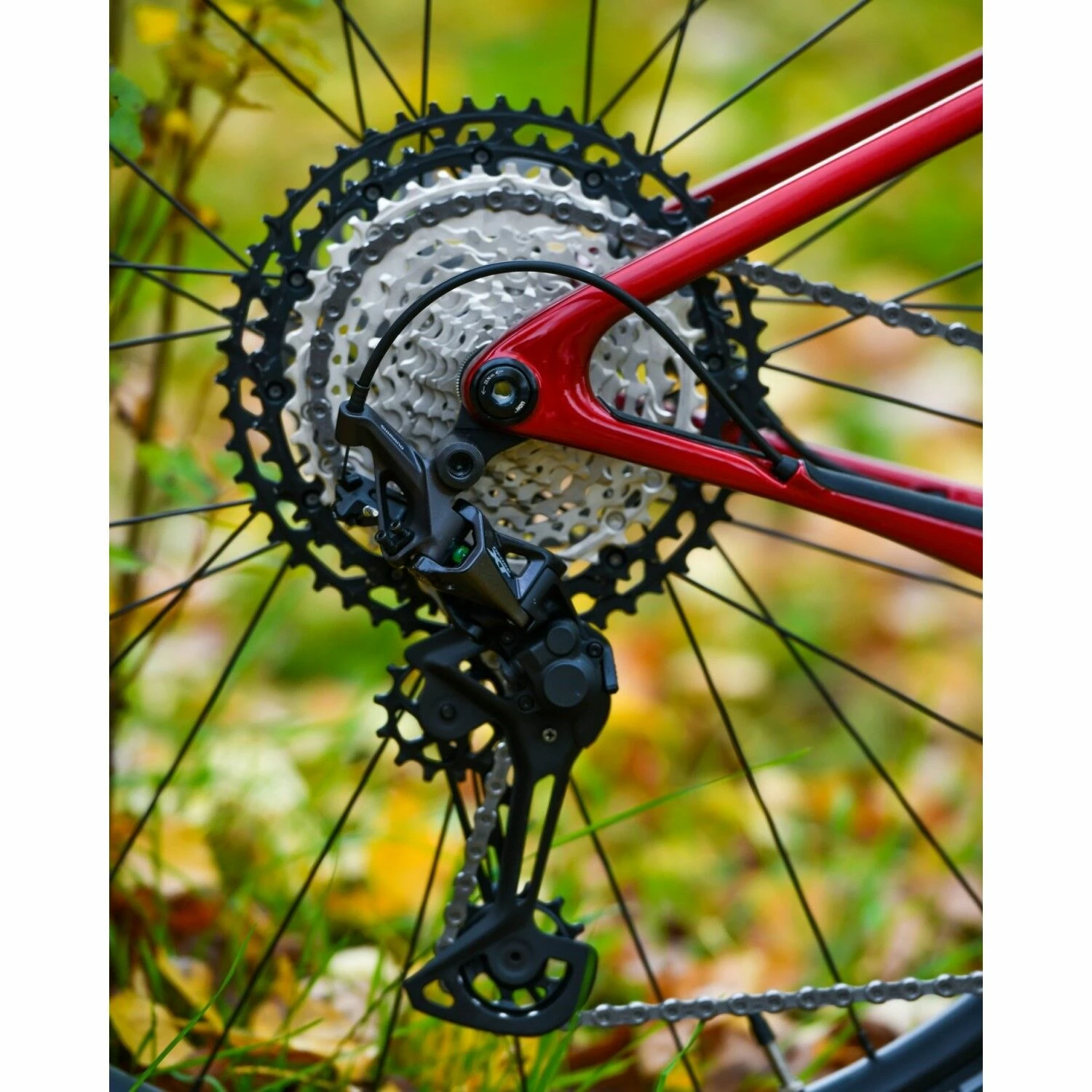 VTT Semi-rigides Cannondale - M - 29'' 4 VTT Semi-rigides Cannondale - M - 29'' – Image 4