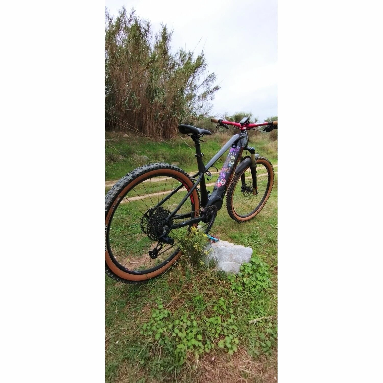 VTT électriques Bianchi Milano - L - 29'' 2 VTT électriques Bianchi Milano - L - 29'' – Image 2