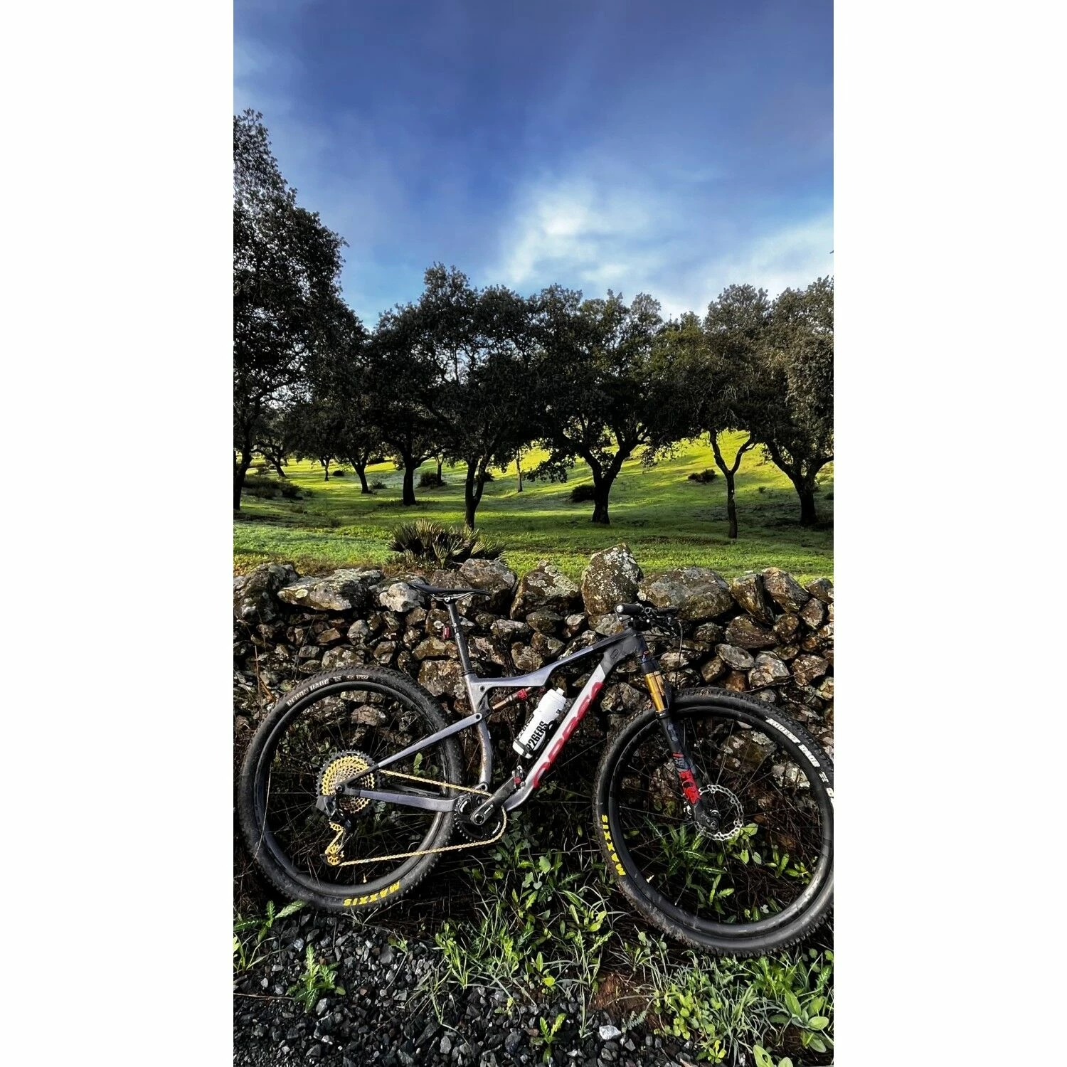 VTT Tout Suspendus Orbea - M - 29'' 2 VTT Tout Suspendus Orbea - M - 29'' – Image 2