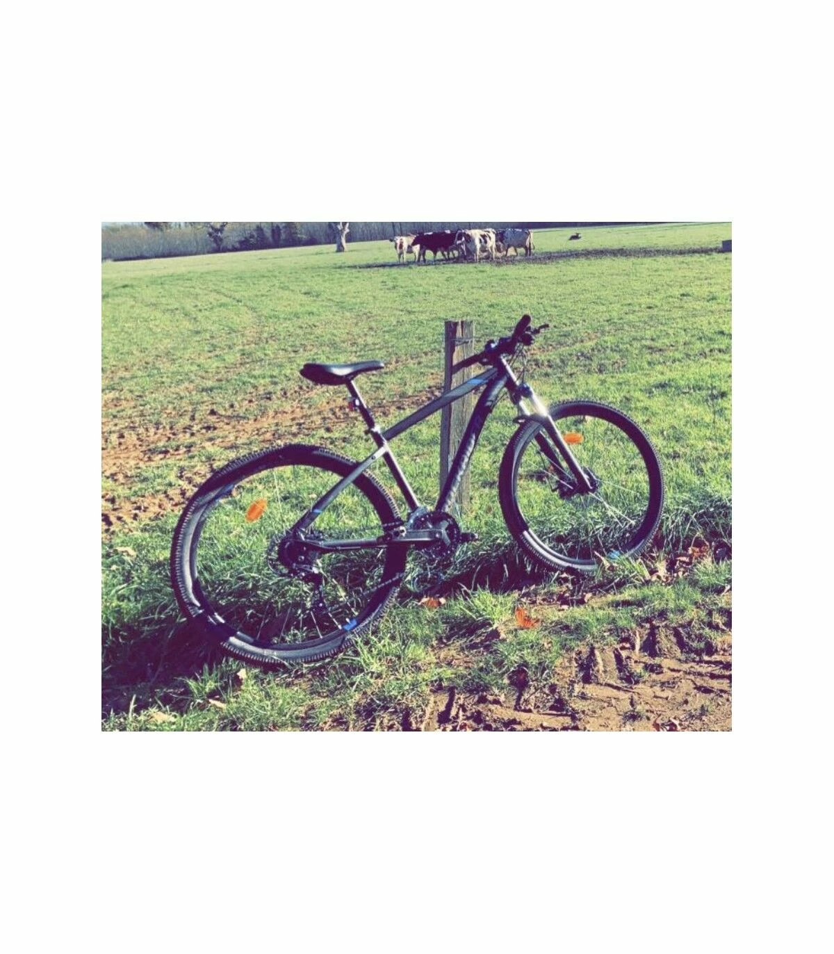 Trek VTT Femmes - M 2 Trek VTT Femmes - M – Image 2