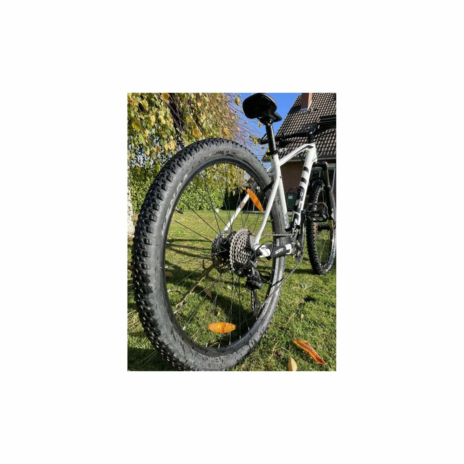 VTT Semi-rigides Scott - L - 29'' 4 VTT Semi-rigides Scott - L - 29'' – Image 4