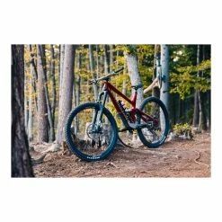 VTT Tout Suspendus Sunn - L - 29''