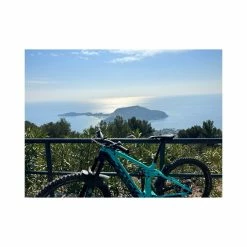 VTT - M - 29'' -Magasin De Vélos Orbea trek rail 9 7 4