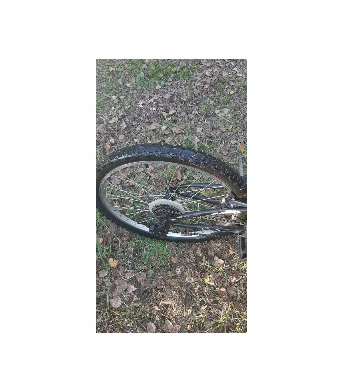 VTT Enfants - 24" 6 VTT Enfants - 24" – Image 6