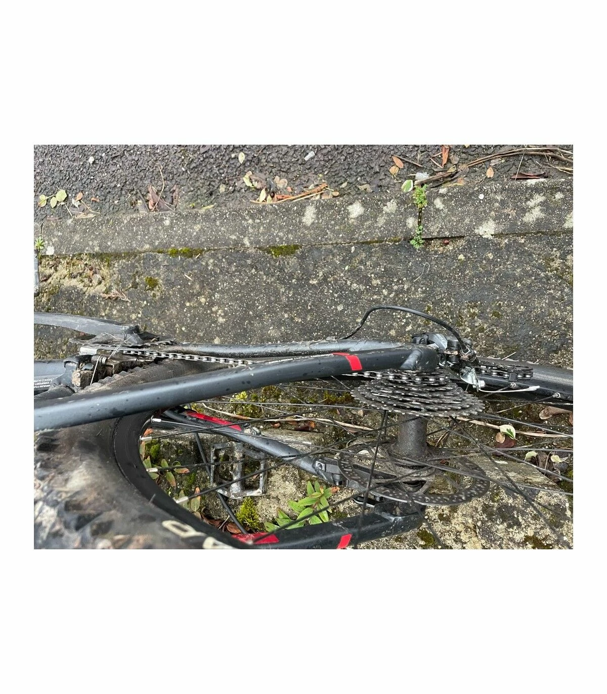 Giant VTT Semi-rigides - XL - 27.5'' 2 Giant VTT Semi-rigides - XL - 27.5'' – Image 2