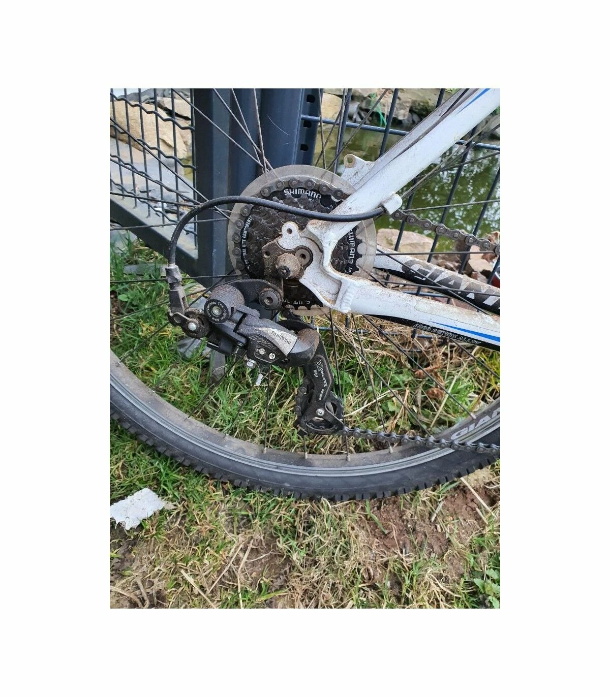 Trek VTT Femmes - L 3 Trek VTT Femmes - L – Image 3