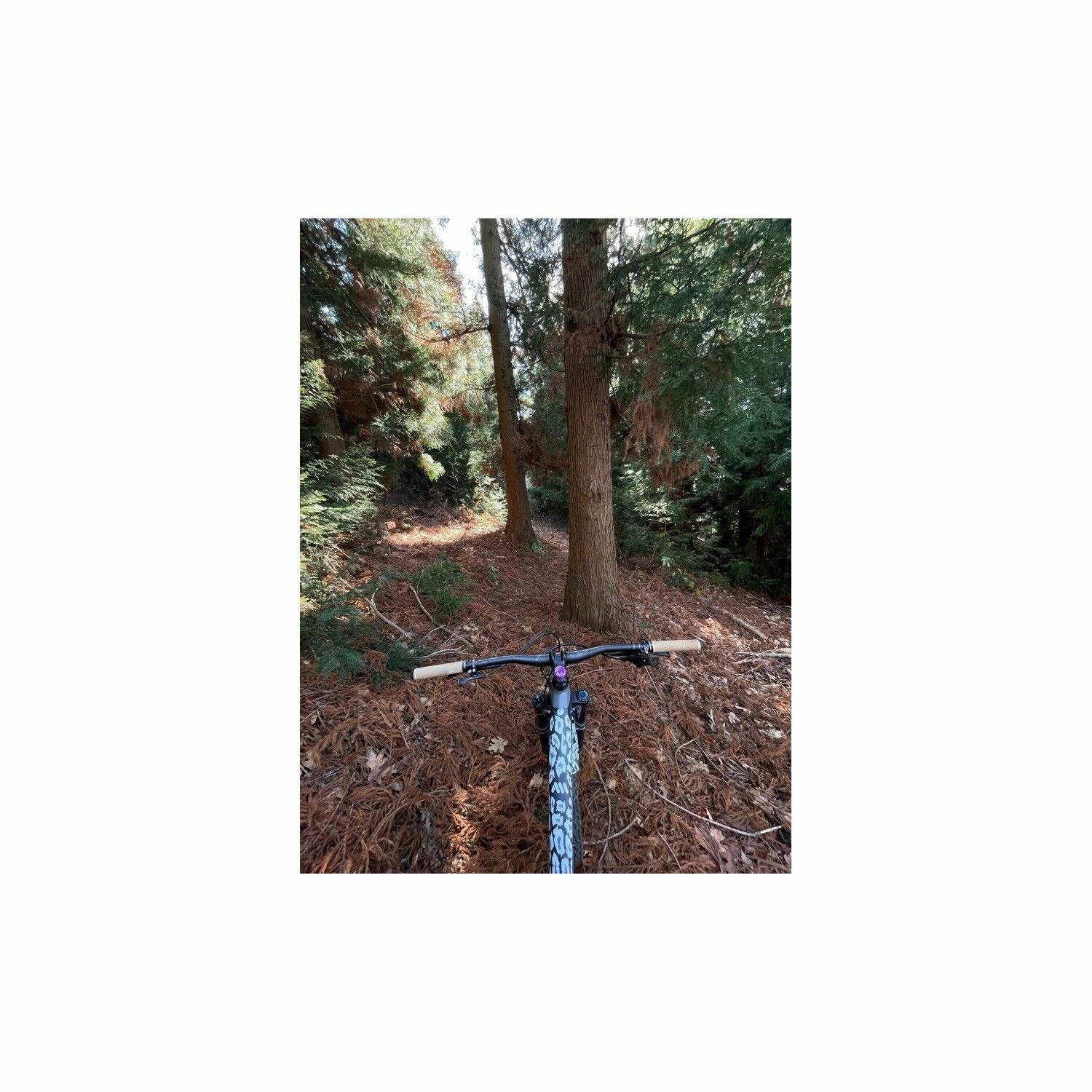 VTT Tout Suspendus YT Industries - L - 29'' 4 VTT Tout Suspendus YT Industries - L - 29'' – Image 4